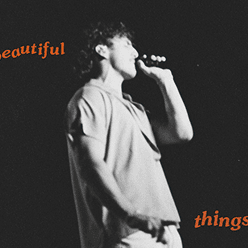Beautiful Things cover image